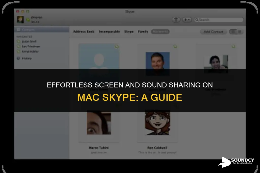 how to share screen and sound on mac skype