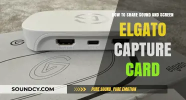 Seamlessly Share Sound and Screen with Elgato Capture Card