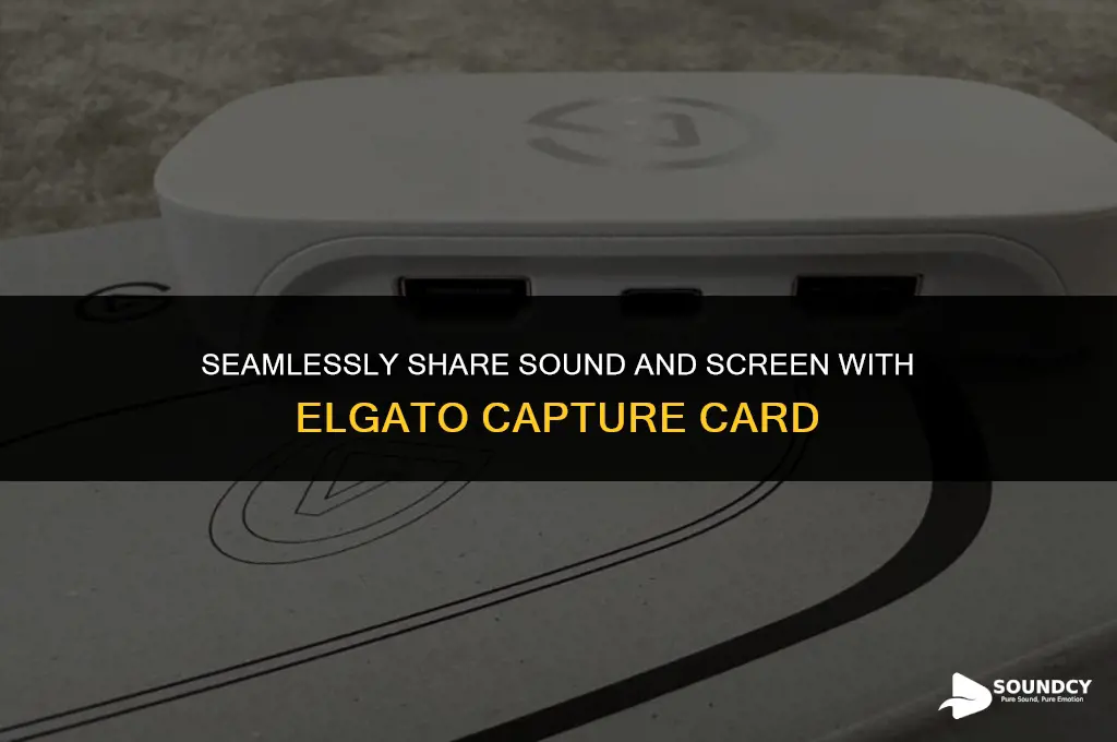how to share sound and screen elgato capture card