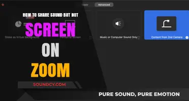 Mastering Audio-Only Sharing on Zoom: A Step-by-Step Guide