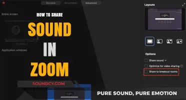 Share Sound on Zoom: Easy Steps to Follow