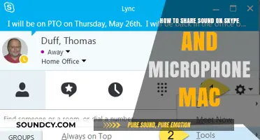 Effortless Audio Sharing: Skype and Mac Microphone Guide