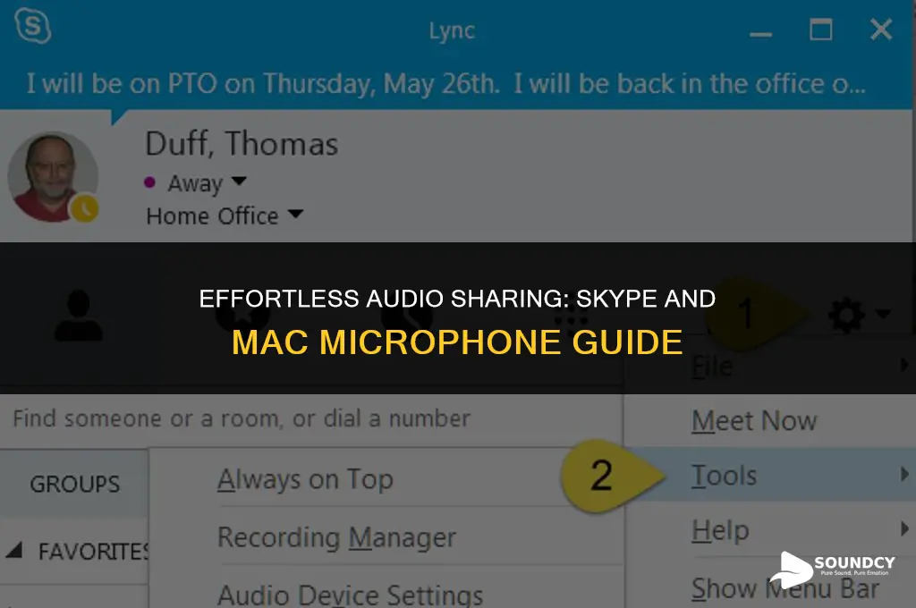 how to share sound on skype and microphone mac