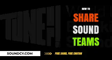 Effective Strategies for Sharing Sound Teams in Collaborative Projects