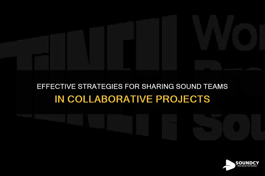 how to share sound teams