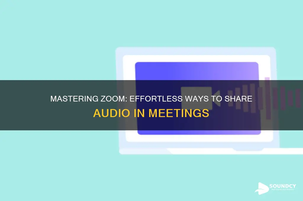 how to share sound zoom