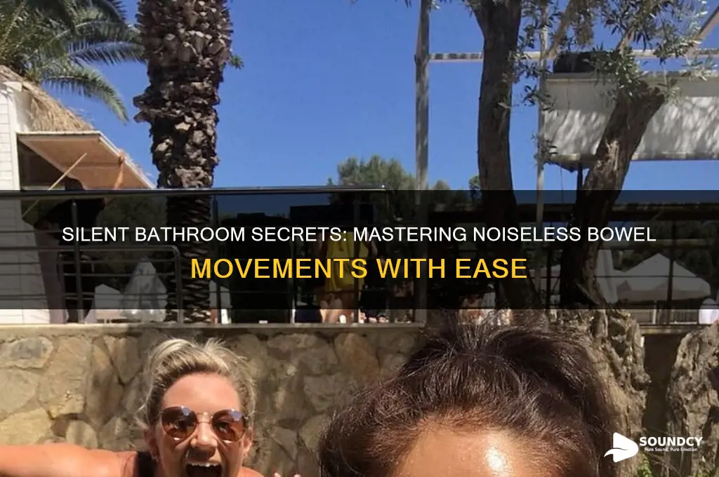 how to shit without sound