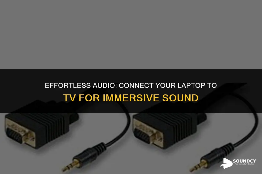 how to show sound on tv when connecting laptop