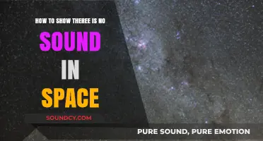 The Silent Cosmos: Proving the Absence of Sound in Space