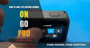 Silencing the Beeps: A Guide to Turning Off GoPro Sounds