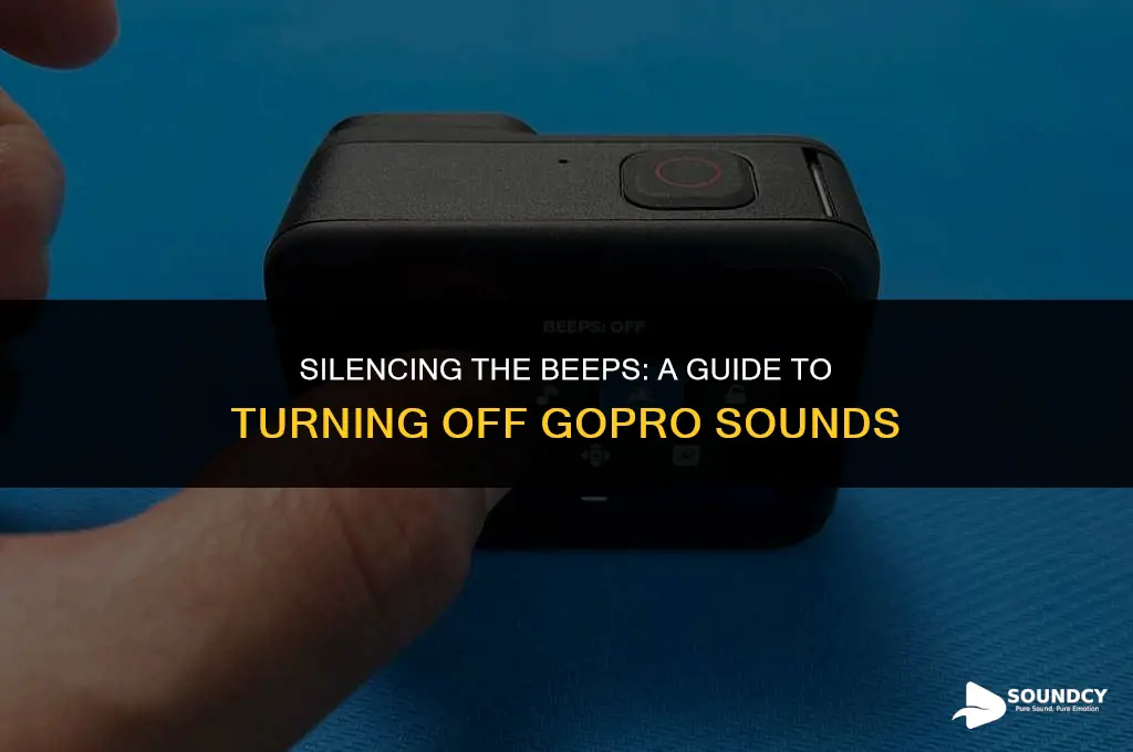how to shut off beeping sounds on go pro