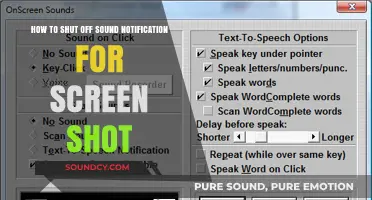Silencing Screenshots: A Step-by-Step Guide to Disable Sound Notifications