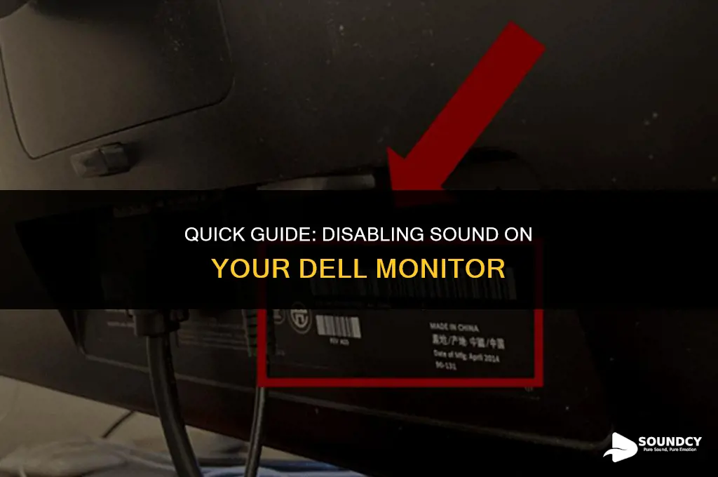 how to shut off sound on my dell monitor