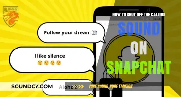 Silencing Snapchat Calls: A Step-by-Step Guide
