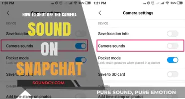 Silencing Snapchat: A Guide to Turning Off Camera Sounds