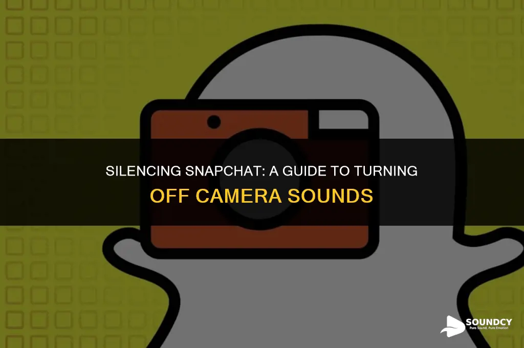 how to shut off the camera sound on snapchat