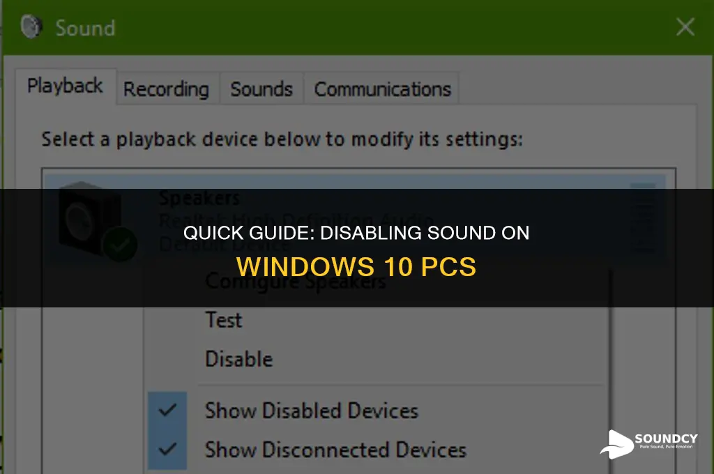 how to shut sound off on pc win 10