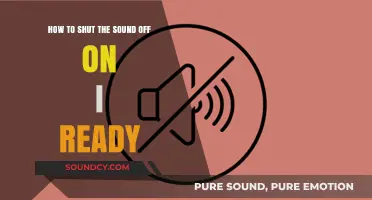 Silencing iReady: A Step-by-Step Guide to Muting the Sound