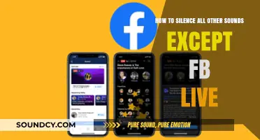 Mastering Audio: How to Isolate Facebook Live Sounds