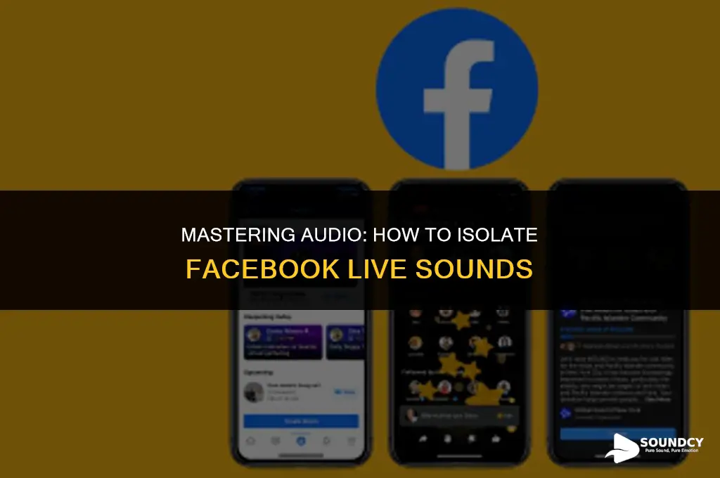 how to silence all other sounds except fb live