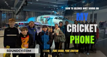 Quiet Your Cricket Phone: A Guide to Silencing Boot Sounds