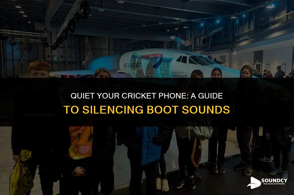 how to silence boot sound on my cricket phone