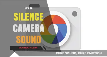 Effective Ways to Mute Camera Sound on Your Device