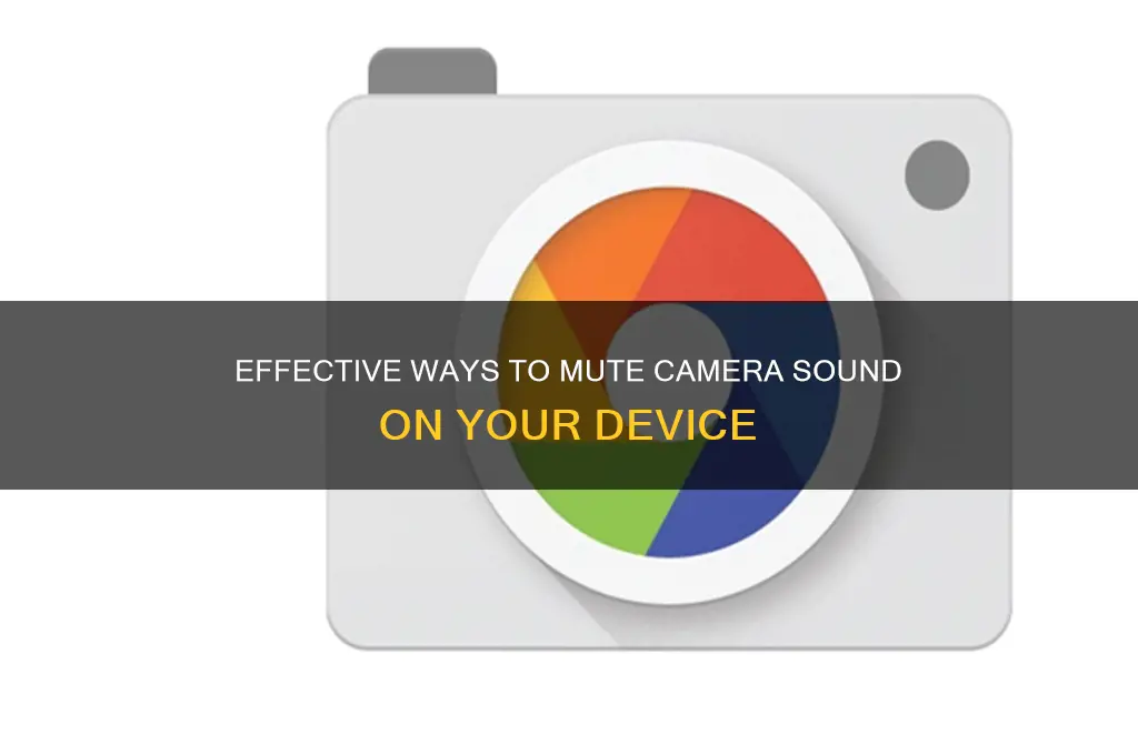 how to silence camera sound