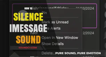 Quick Guide: Mute iMessage Sounds on iPhone and iPad