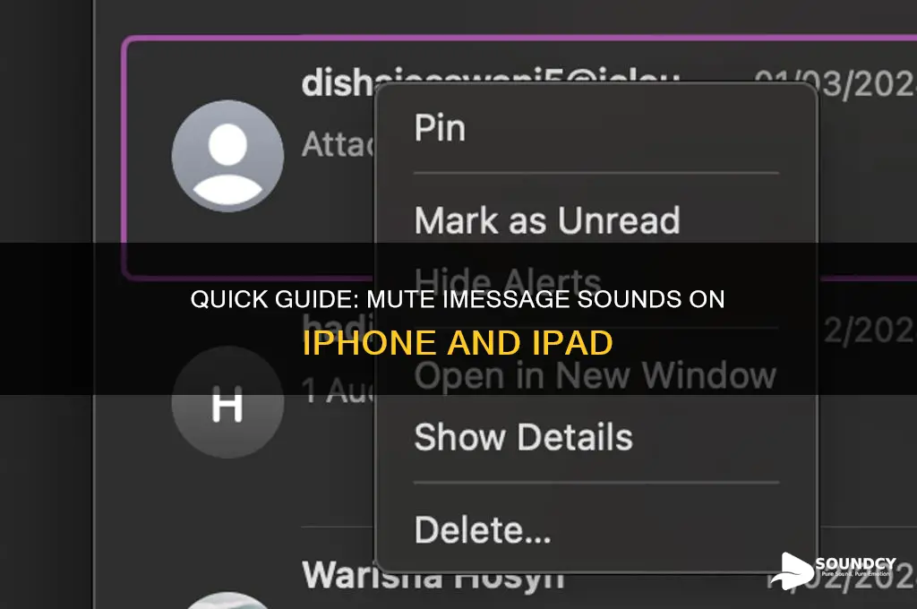 how to silence imessage sound
