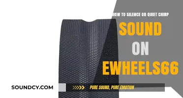 E-Wheel Silence: How to Quell the Chirp on EWheels66