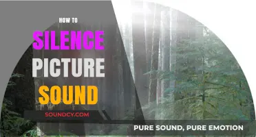 Effective Techniques to Silence Unwanted Picture Sounds Easily