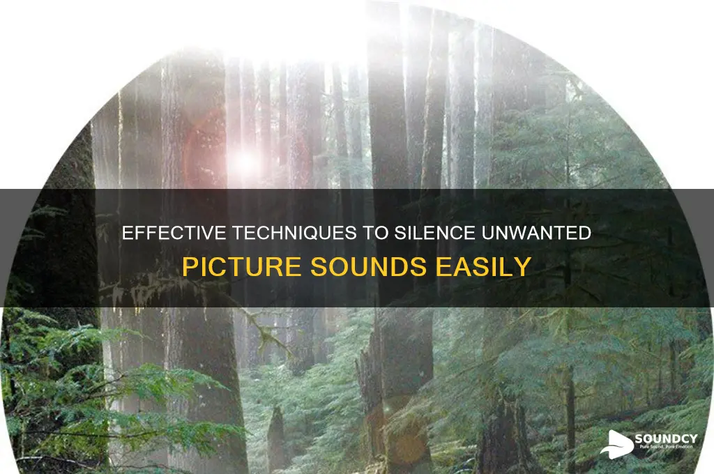 how to silence picture sound
