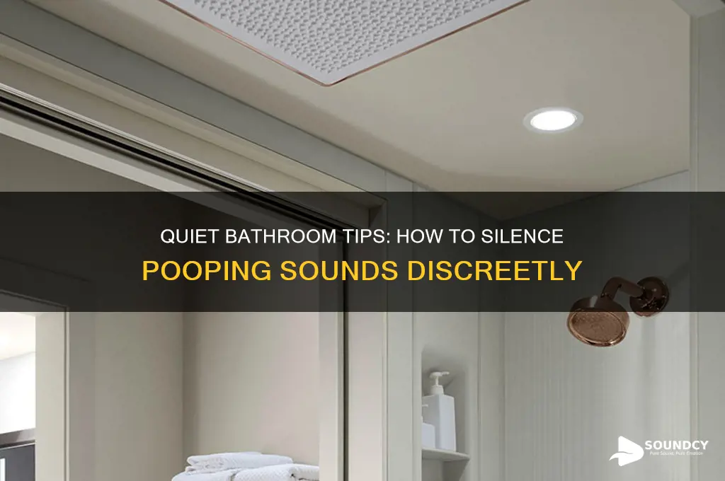 how to silence pooping sounds