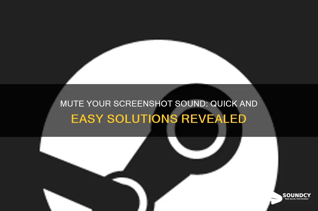 how to silence screenshot sound