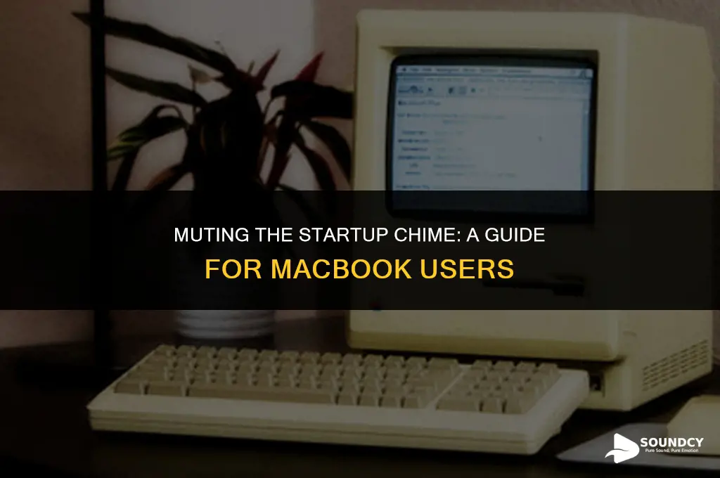 how to silence the mac book start up sound