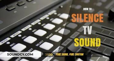 Effective Ways to Mute Your TV Sound Instantly and Easily