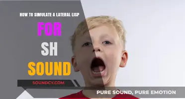 Mastering the Art of Simulating a Lateral Lisp for the 'Sh' Sound