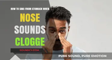 Unclog Your Nose Sounds: Singing from the Stomach Made Easy