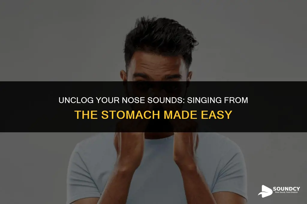 how to sing from stomach when nose sounds clogge