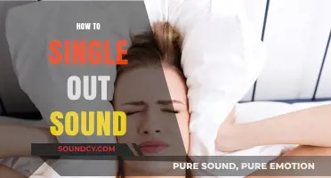 Mastering Audio Isolation: Techniques to Single Out Sound Effectively