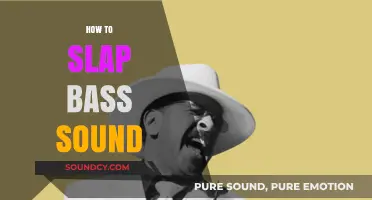 Master the Art of Slapping Bass: Techniques for a Punchy Sound
