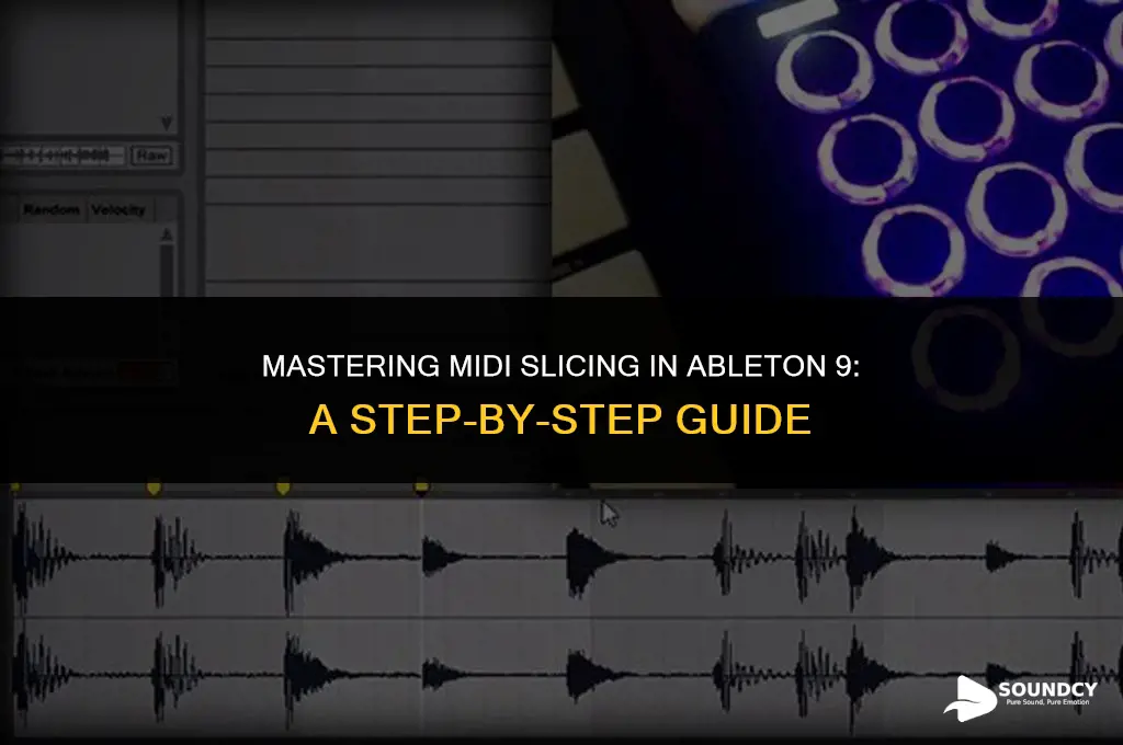 how to slice a midi sound in ableton 9