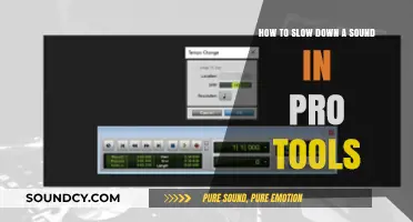 Mastering Tempo Control: Slowing Down Sounds in Pro Tools