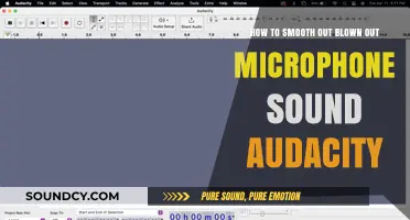 Mastering Audio Repair: Taming Blown-Out Microphone Sound in Audacity