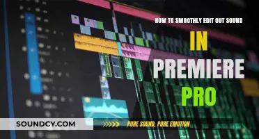 Effortless Audio Editing: A Premiere Pro Guide