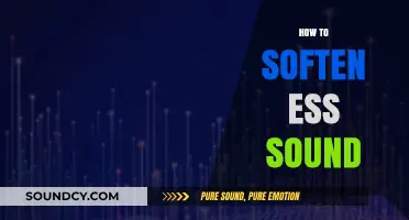 Mastering Soft Ess Sounds: Techniques for Smooth Speech Clarity