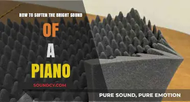 Harmonious Balance: Taming the Brightness of Your Piano's Sound