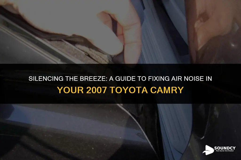how to solve air sound in 07 toyota camry