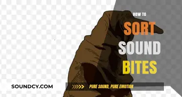 Mastering Sound Bite Sorting: Tips for Efficient Audio Organization